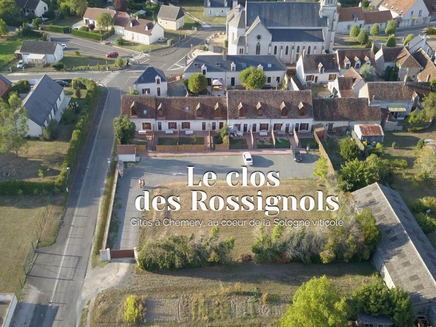 Villa Les Terrasses Des Rossignols Chémery Exterior foto